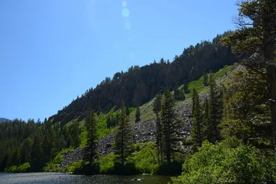 DSC_0056 (Large).JPG